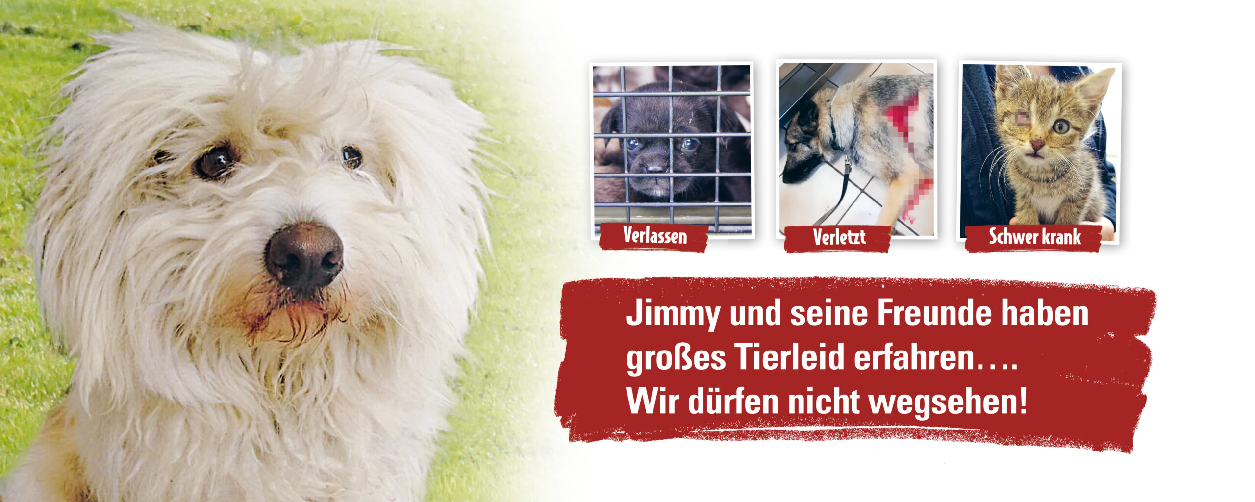 ATD_Website_3000x1200_Jimmy-1