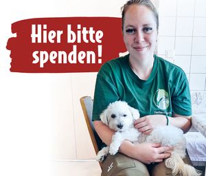 Bitte spenden Sie für Captain the Maltese