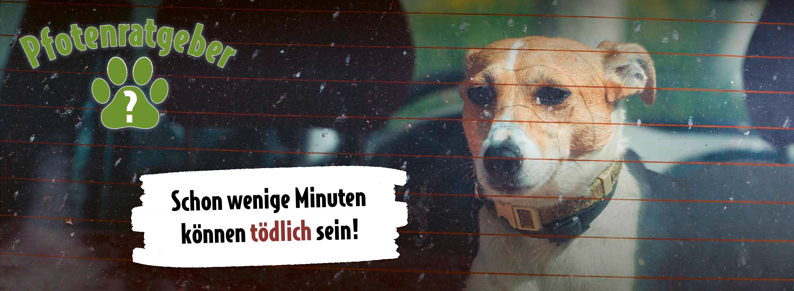 ATD_Banner_Landingpage_1500x550 Hund im AutoText: Schon wenige Minuten können tödlich sein!