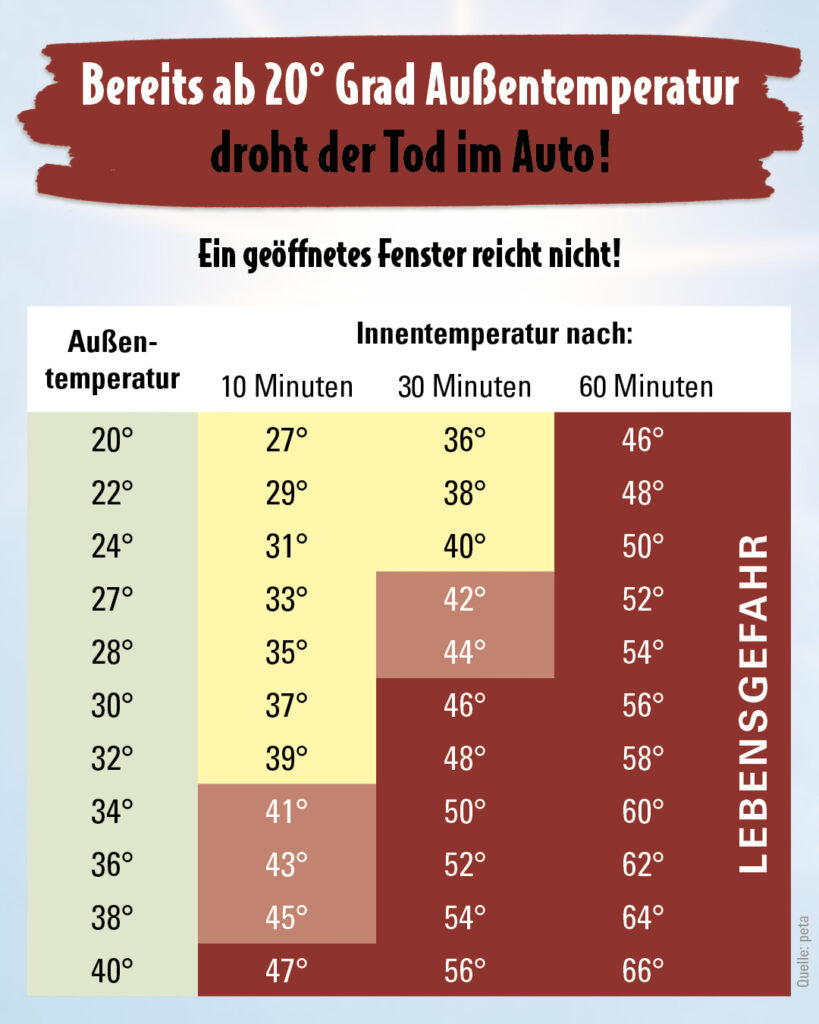 Tabelle, ab wie viel Grad im Auto für Hunde Gefahren drohen