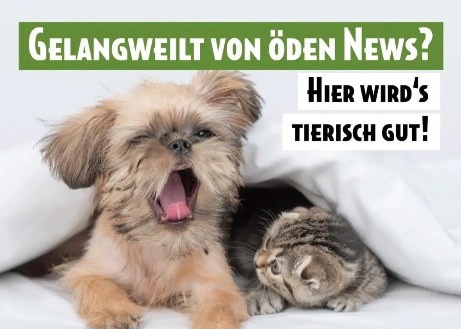 ATD_Newsletter-V3_2x.png