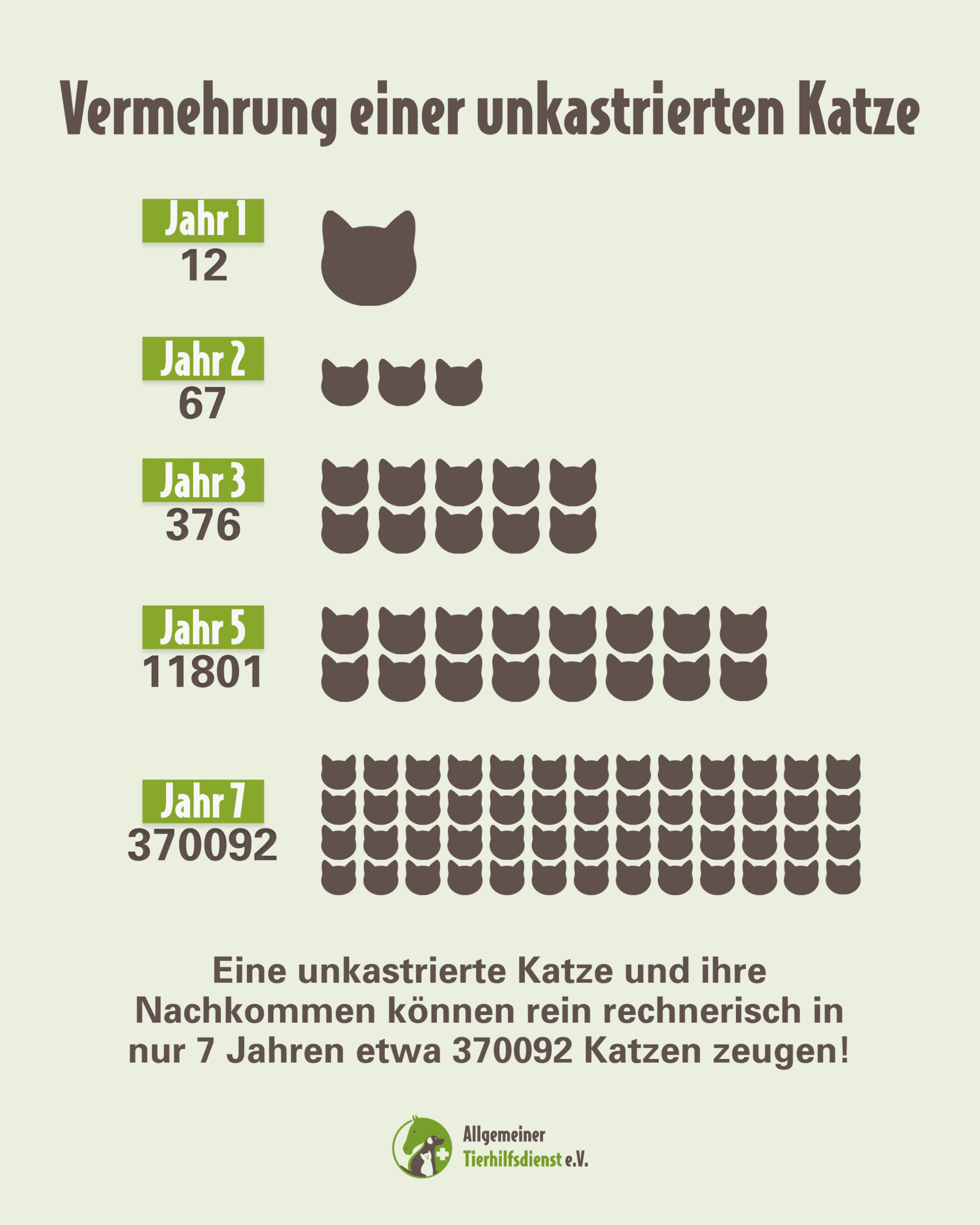 ATD_Strassenkatzen_infografikt