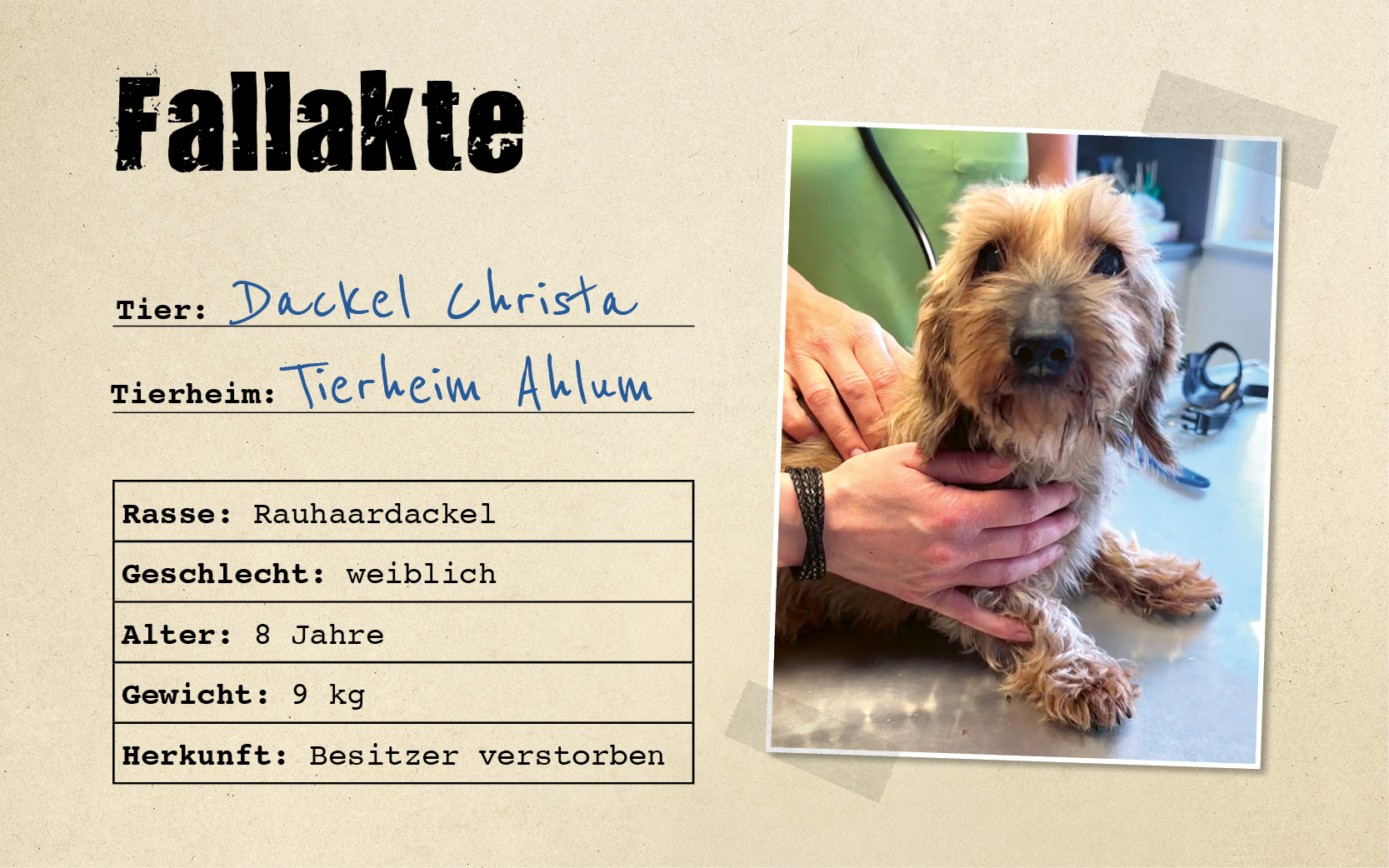 ATD_Christa_Fallakte_800x500