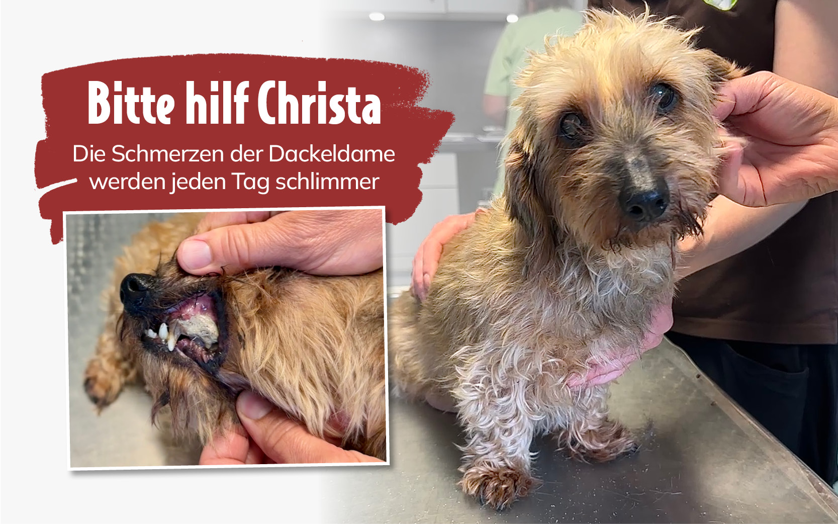 ATD_Christa_Newsletter_800x500
