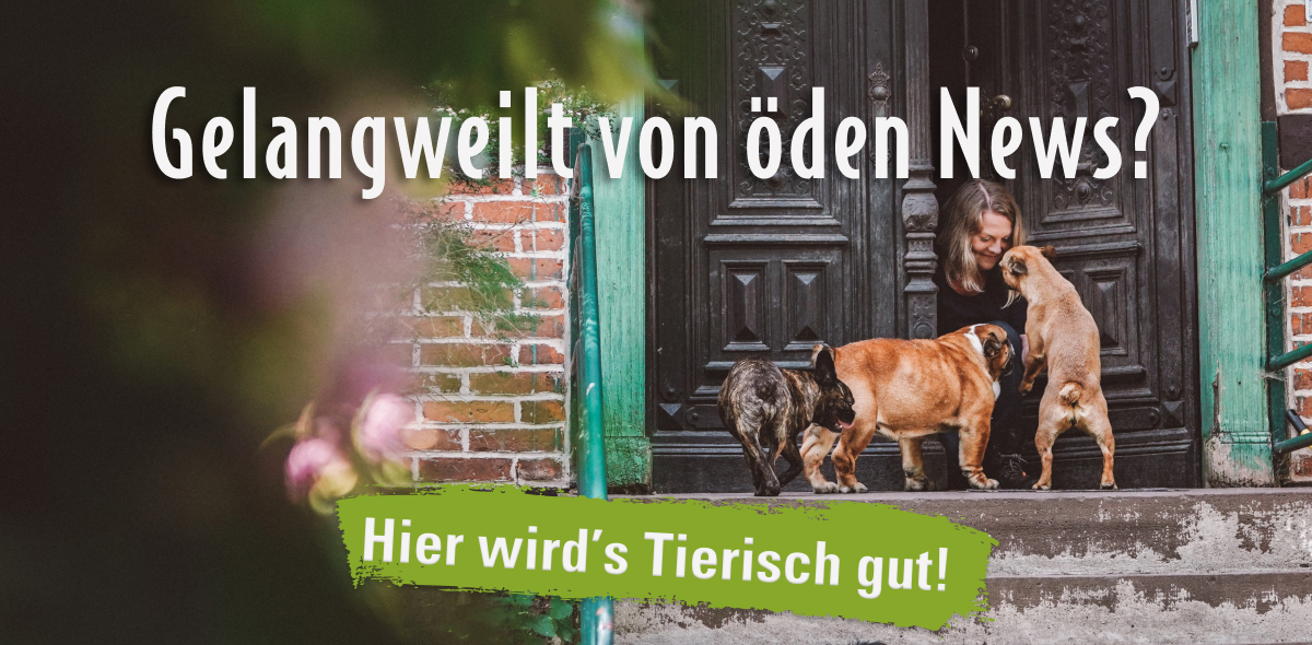 ATD_NL_Header_Welcome2asdasd