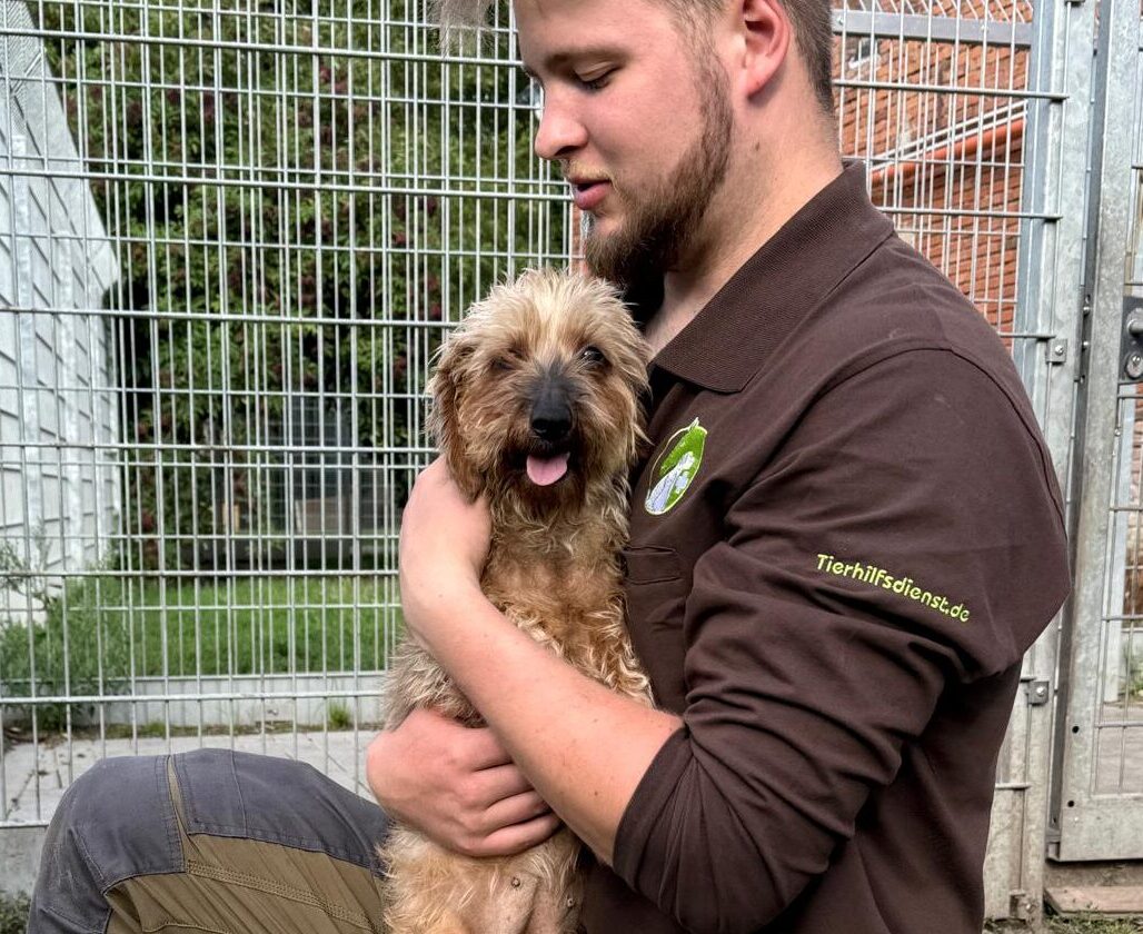 f0e41b84-de0d-4d88-8805-1c87035968ab Tierpfleger hält die kranke Rauhaardackel-Hündin Christa im Arm im Tierheim – Spendenaufruf für dringend benötigte medizinische Hilfe.