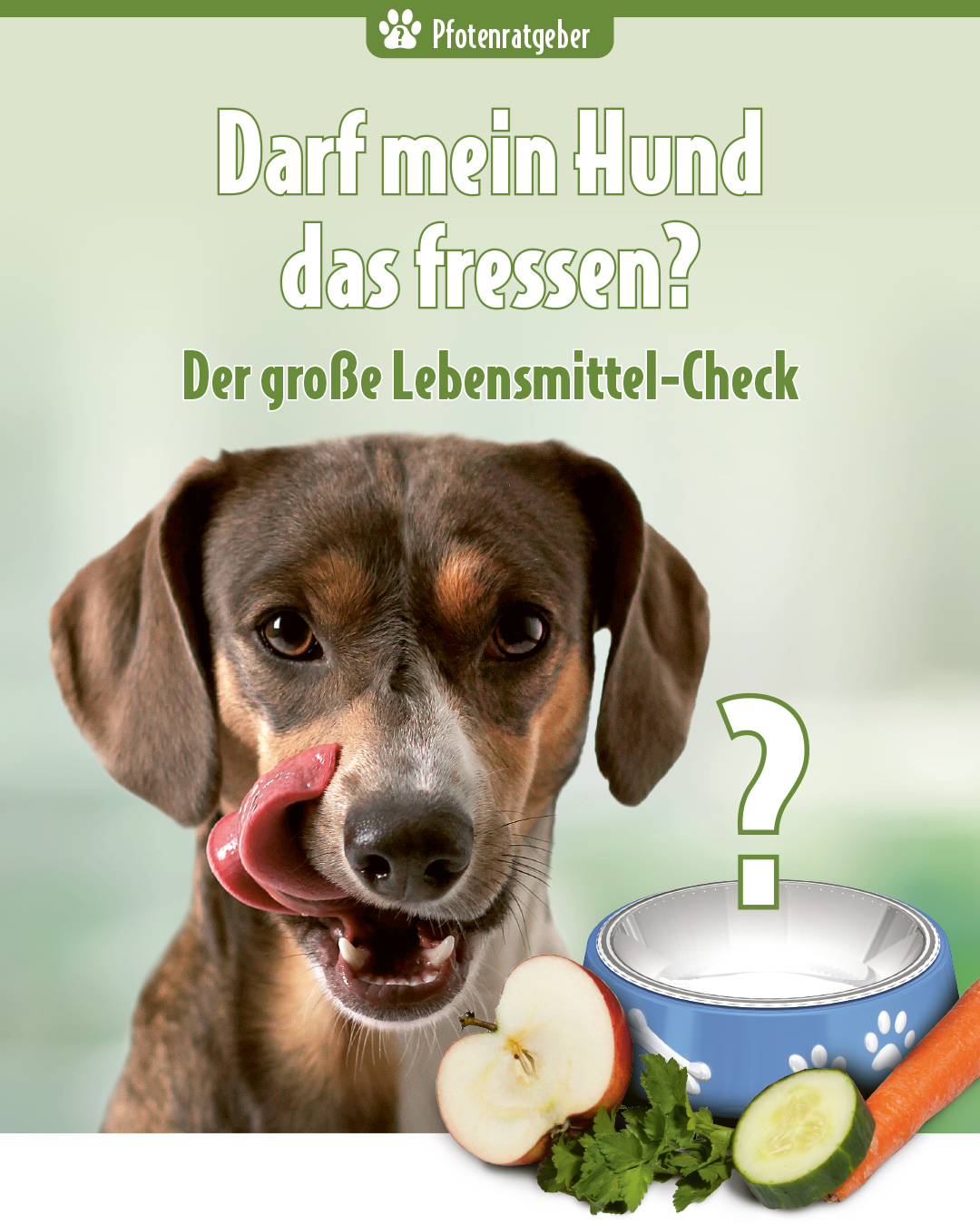 Hund leckt sich das Maul neben Futternapf, Apfel, Gurke und Karotte mit Text „Darf mein Hund das fressen? – Der große Lebensmittel-Check“ – Pfotenratgeber zur Hundeernährung