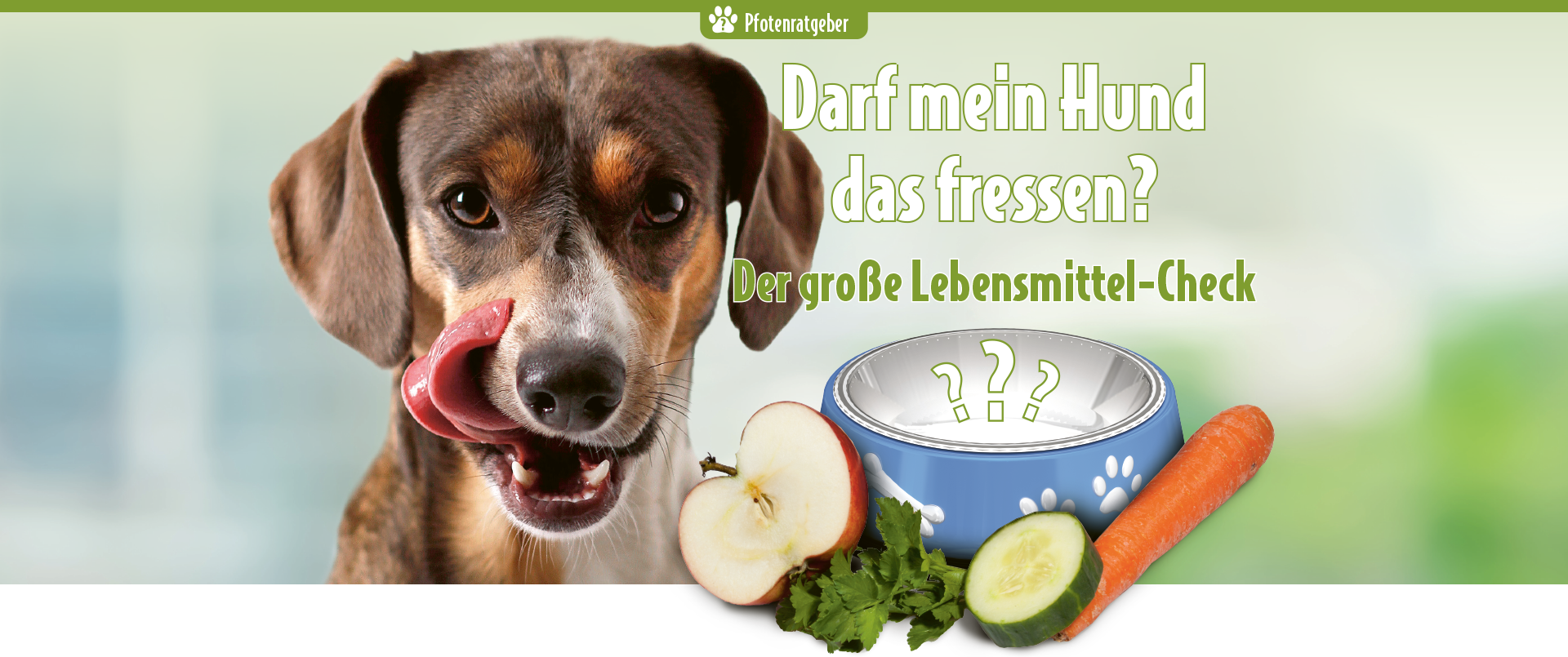Hund leckt sich das Maul neben Futternapf, Apfel, Gurke und Karotte mit Text „Darf mein Hund das fressen? – Der große Lebensmittel-Check“ – Pfotenratgeber zur Hundeernährung