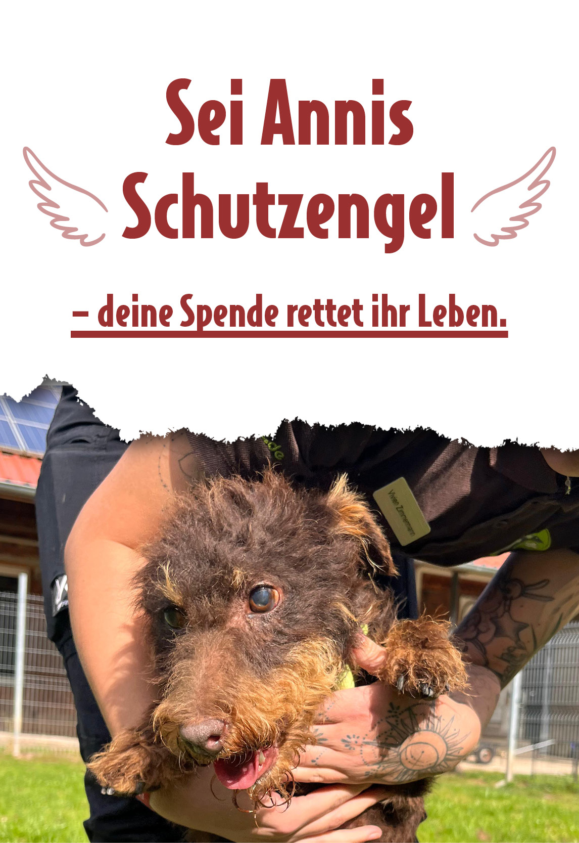 Spendenaufruf für Anni mit dem Appell: Schutzengel gesucht Kampagnenmotiv: Sei Annis Schutzengel – deine Spende rettet ihr Leben