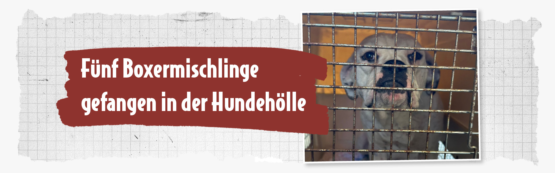 ATD_Boxer_Landingpage_Desktop_1920x600 F7F7F7