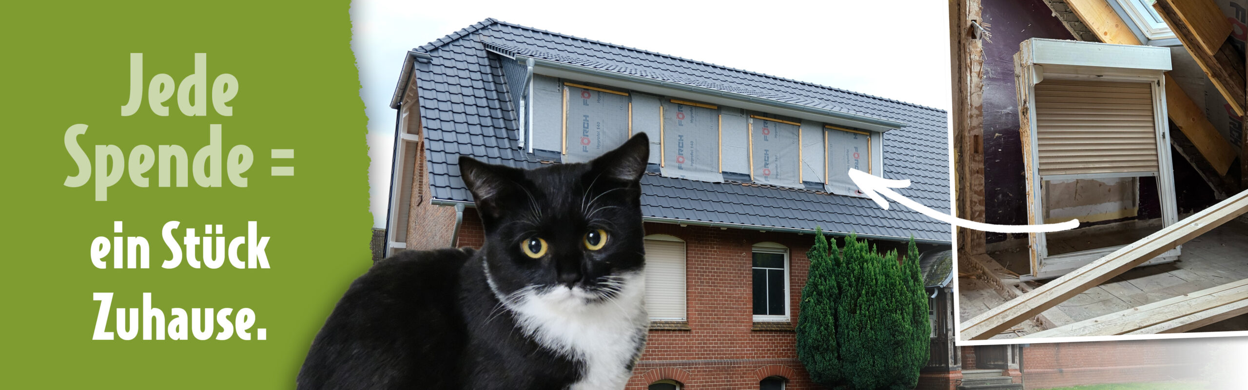 Renoviertes Katzenhaus mit noch offenen Fensteröffnungen Außenansicht eines Backsteingebäudes mit neuem Dach, unfertiger Fensterfront und einer schwarz-weißen Katze im Vordergrund