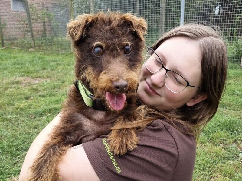 Liebevolle Betreuung von Anni nach ihrer Rettung Anni auf dem Arm einer Pflegerin, draußen auf einer Wiese