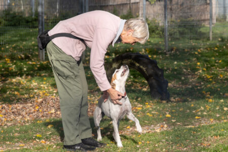 Fragen und Antworten