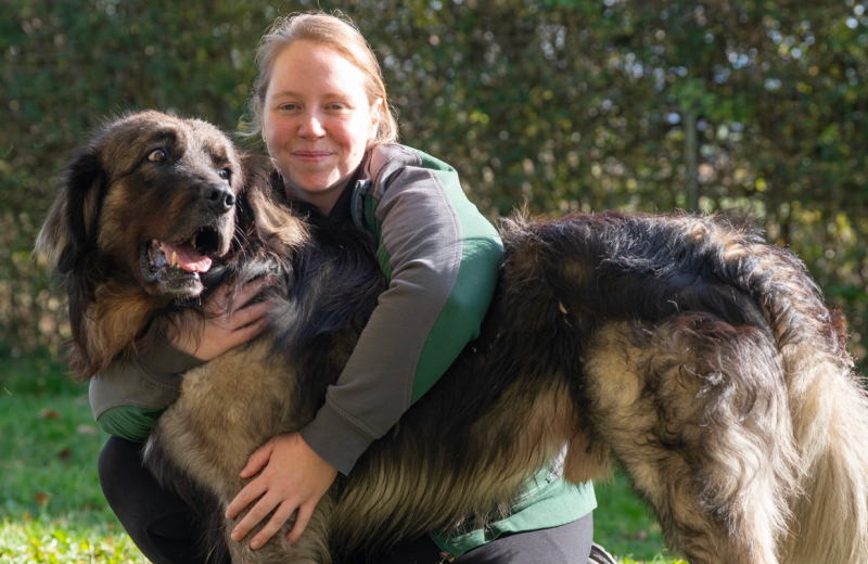 Tierheimalltag mit Hund und Tierpflegerin Tierpflegerin hält einen Hund im Arm auf dem Tierheimgelände