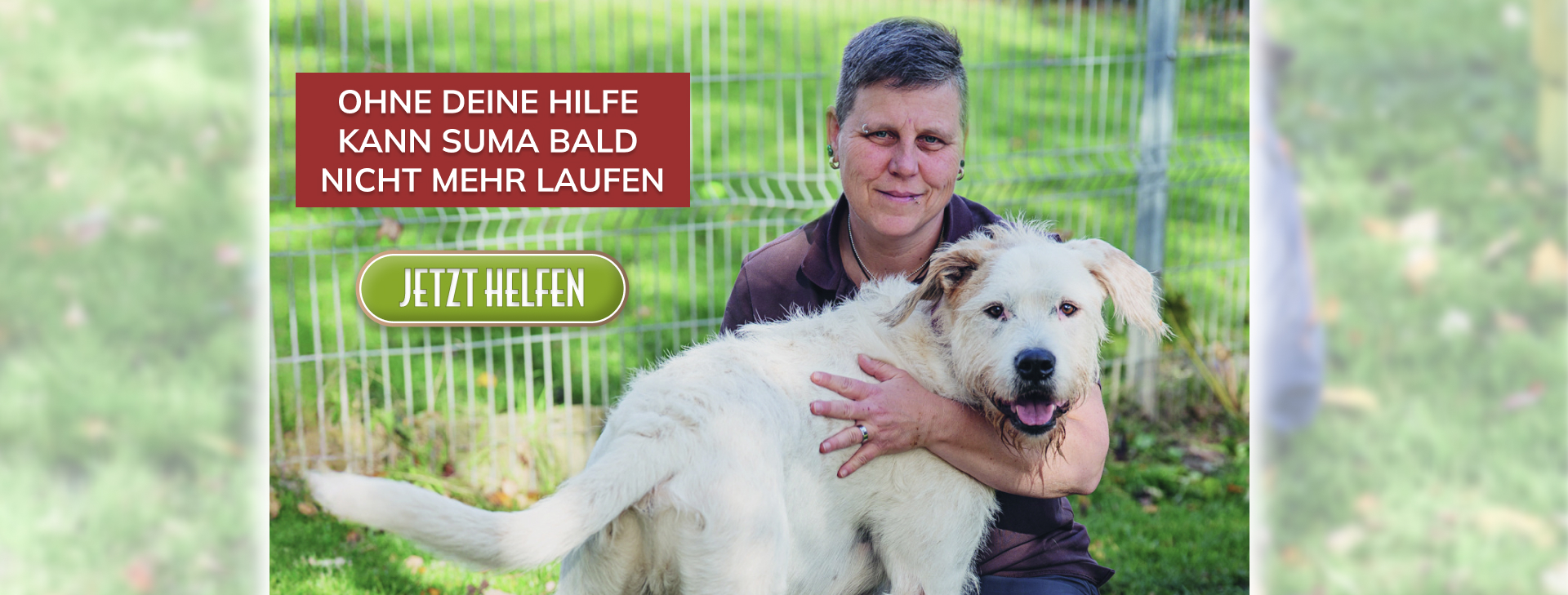 Hund Suma mit Tierpflegerin – Projektheader Tierpflegerin kniet auf einer Wiese und hält den weißen Hund Suma vor einem Zaun; im Bild steht „Ohne deine Hilfe kann Suma bald nicht mehr laufen“ und ein „Jetzt helfen“-Button.