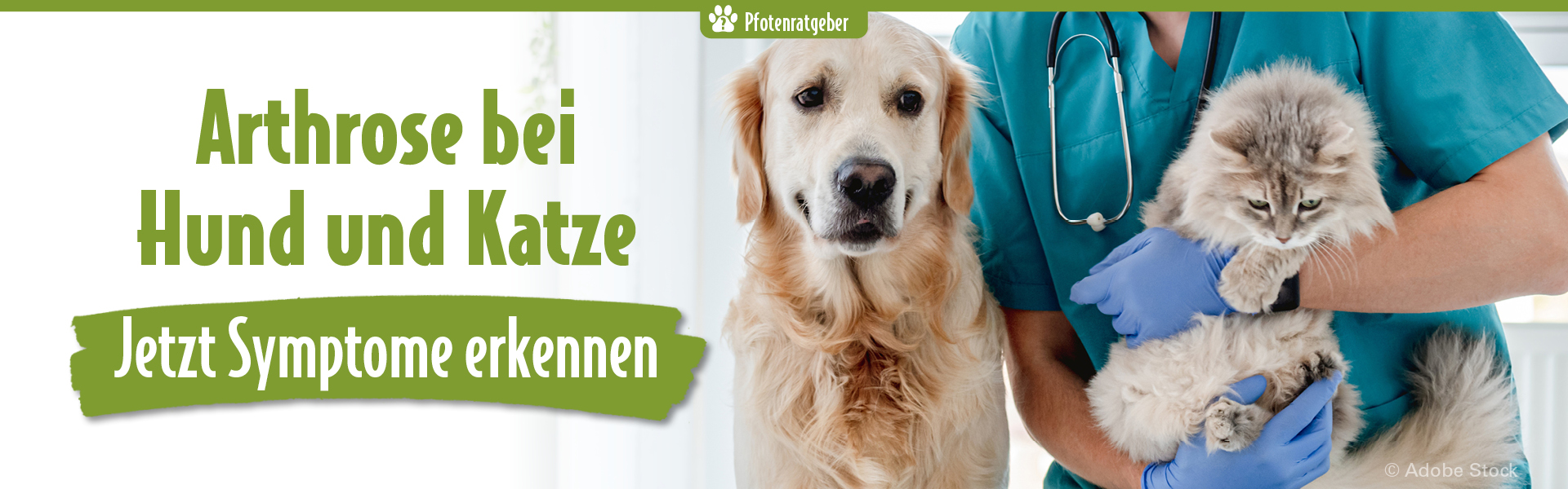 Website Banner Desktop Arthrose bei Hund und Katze Tierarzt hält Hund und Katze, Hinweis auf Arthrose bei Hund und Katze und Symptome erkennen
Titel Attribut: Arthrose bei Hund und Katze, Symptome erkennen
