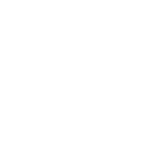 Icon-Insta-weiss