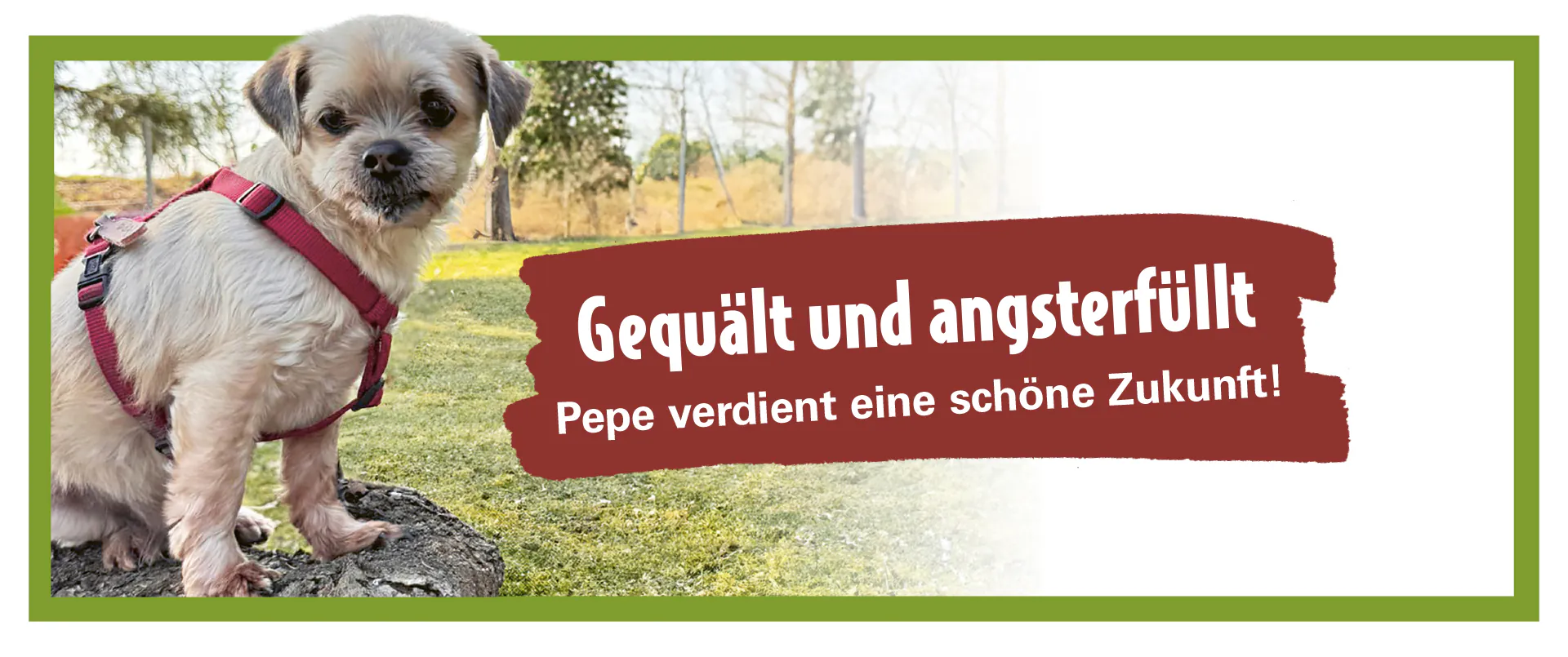 ATD_Pepe_Landingpage_1920x805-1.jpg (1)