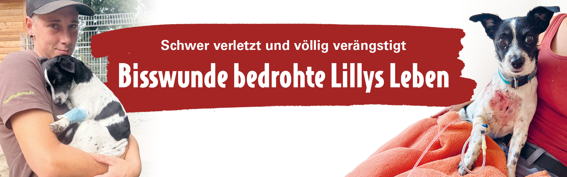 ATD_Lilli_Website-1
