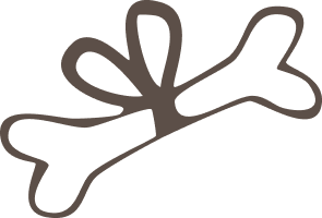 KnochenEbene_2