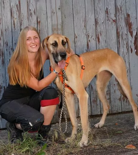 Eine Dame neben einer Deutschen Dogge