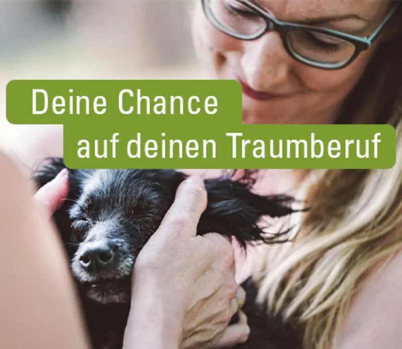csm_atd-karriere-banner_e50c89f87d Deine Chance auf deinen Traumberuf