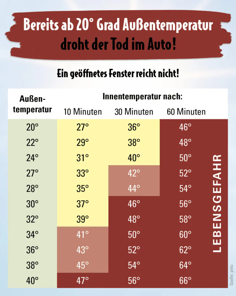 Tabelle, ab wie viel Grad im Auto für Hunde Gefahren drohen