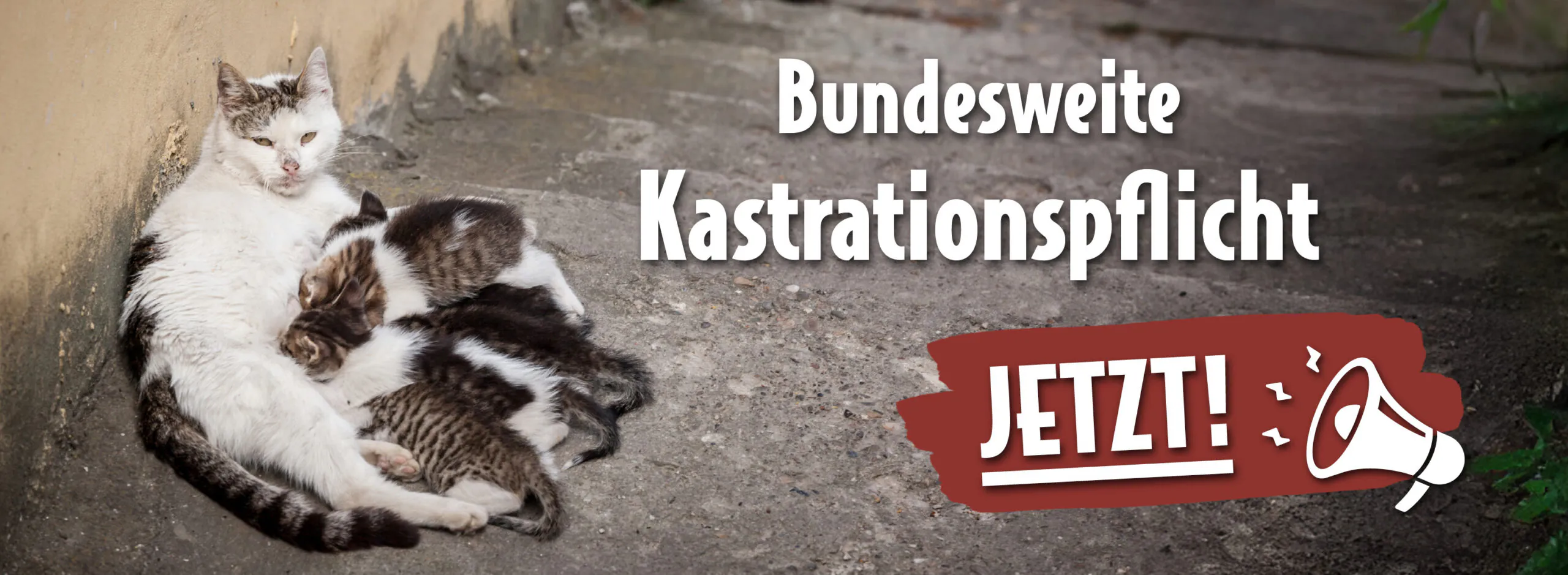 e2f08a321602e5d1464628de5edfe958e694d078-scaled