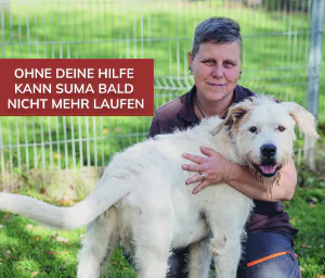 Tierpflegerin hält den weißen Hund Suma auf einer Wiese vor einem Zaun; im Bild steht „Ohne deine Hilfe kann Suma bald nicht mehr laufen“.